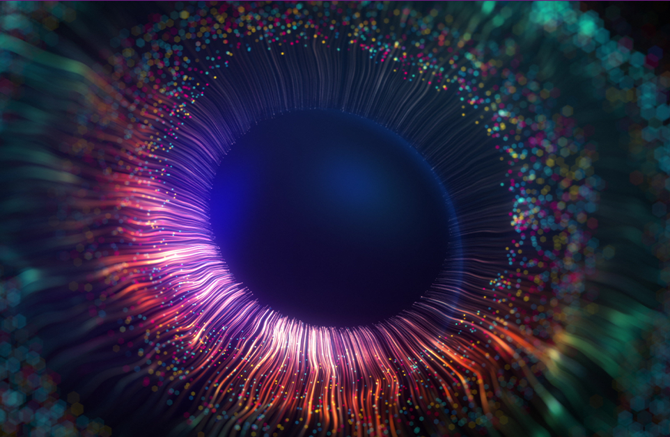 Eye section