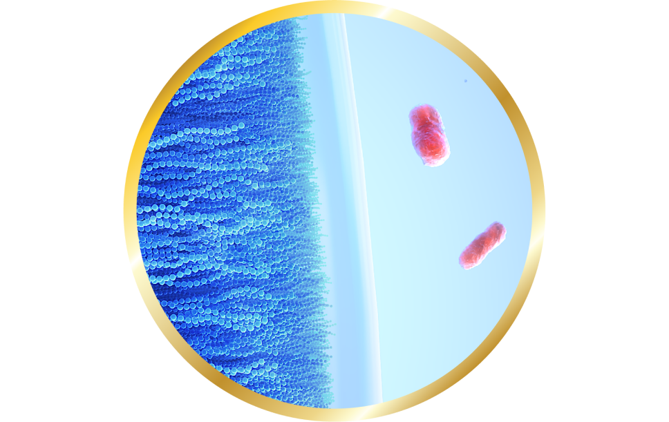 Image of celligent technologie