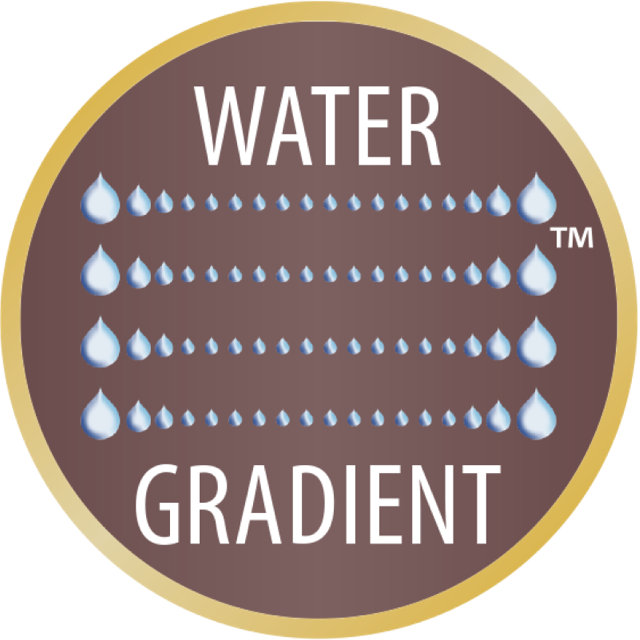 Water gradient logo