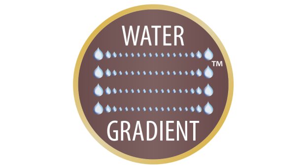 WATER GRADIENT