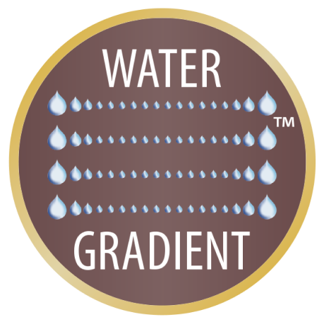 WATER GRADIENT