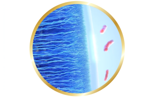 Image of celligent technologie