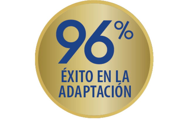 Golden icon 96