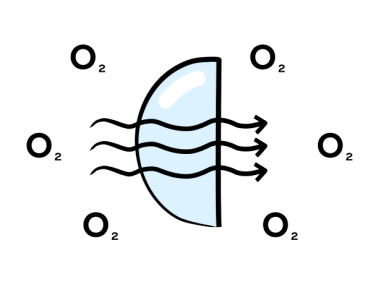 Gráfico que muestra el flujo de o2 a través de una lente de contacto
