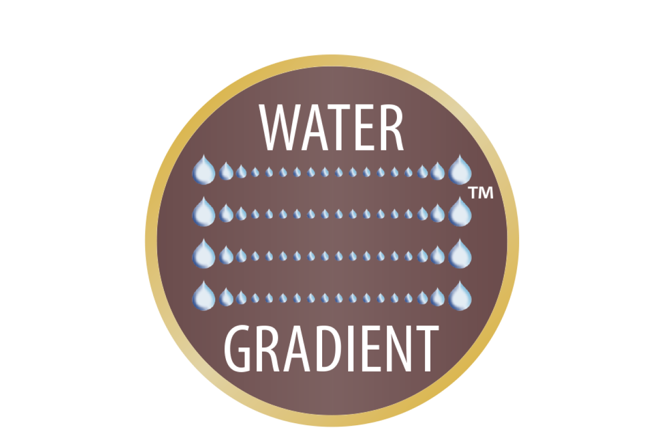 WATER GRADIENT