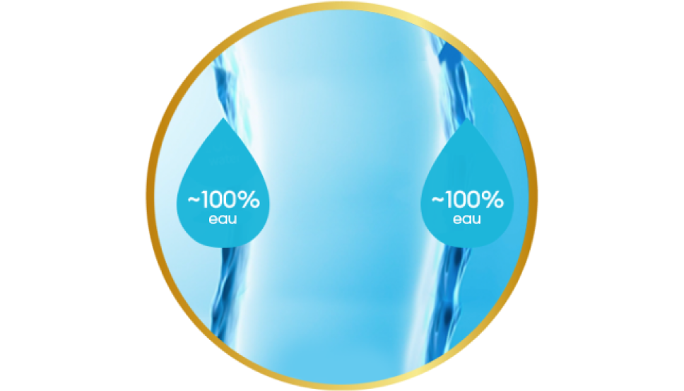 Surface de la lentille avec une teneur en eau proche de 100 %