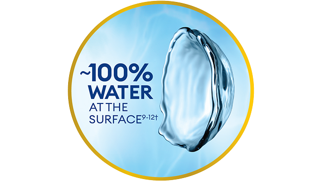 Surface de la lentille avec une teneur en eau proche de 100 %