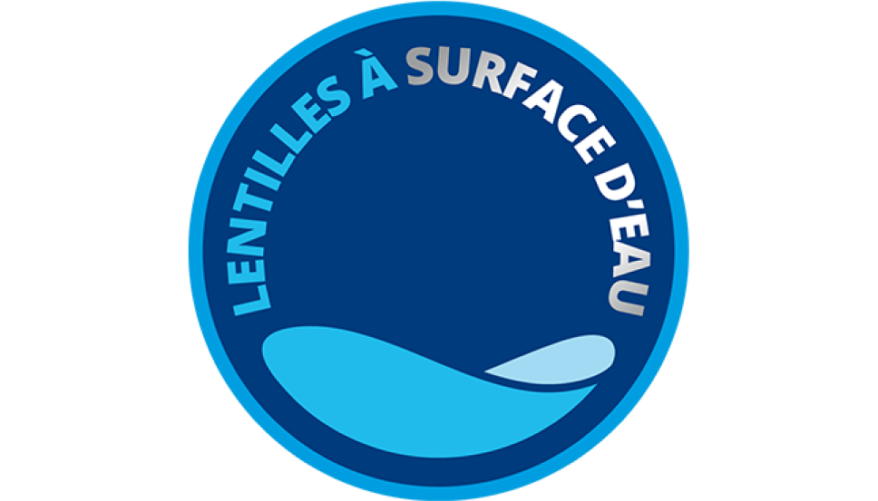 Logo des lentilles de contact à surface d'eau